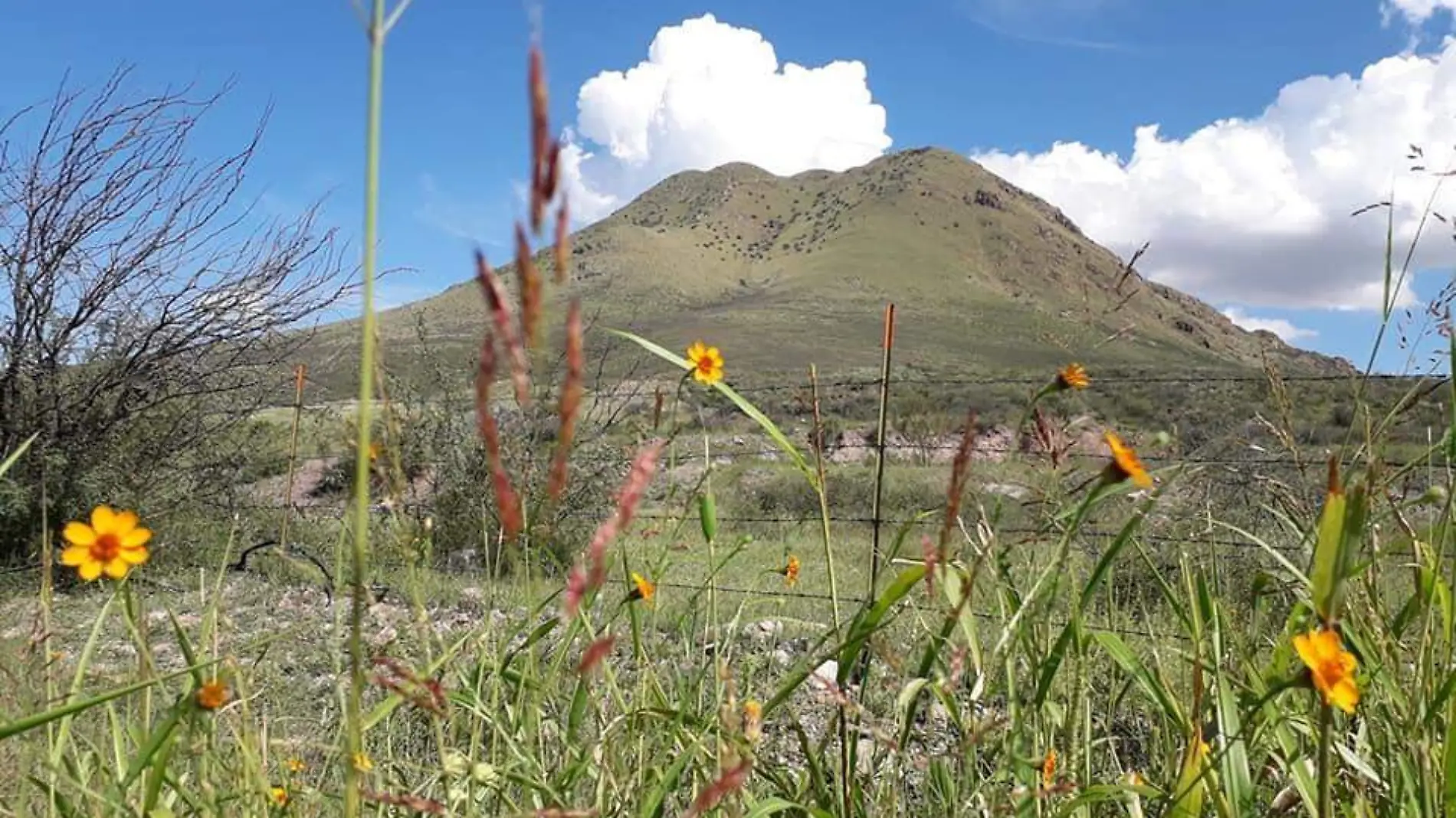 cerro grande